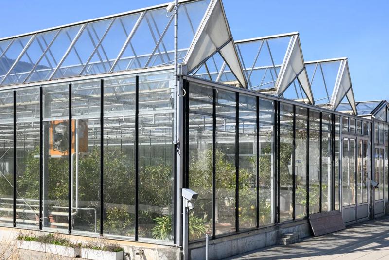 2602-Schlossgarten-Riggisberg_FranziskaRothenbühler - DerBund