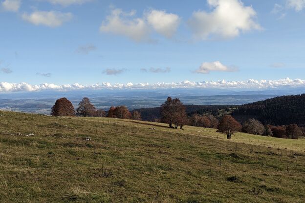 241020-KtBern-PresdOrvin_Raphael Petit
