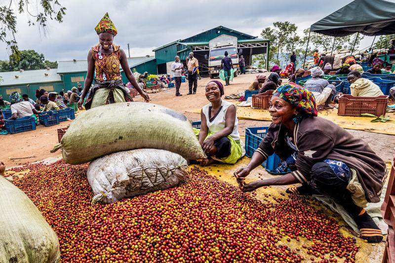 Symbolbild Oikocredit